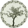 Olivo