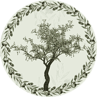 Olivo